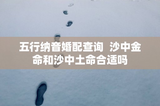 五行纳音婚配查询  沙中金命和沙中土命合适吗