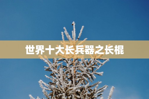 世界十大长兵器之长棍