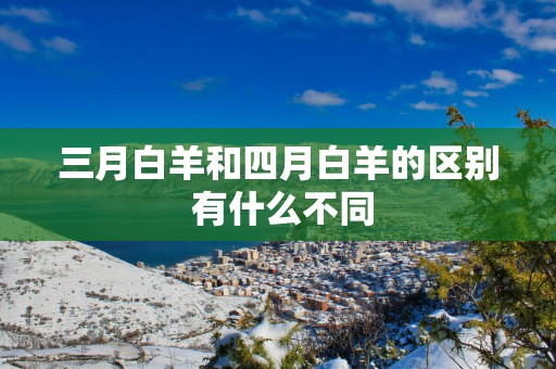 三月白羊和四月白羊的区别 有什么不同