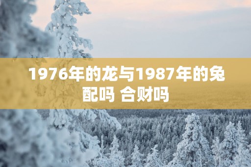 1976年的龙与1987年的兔配吗 合财吗