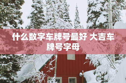 什么数字车牌号最好 大吉车牌号字母