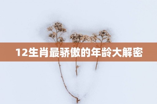 12生肖最骄傲的年龄大解密