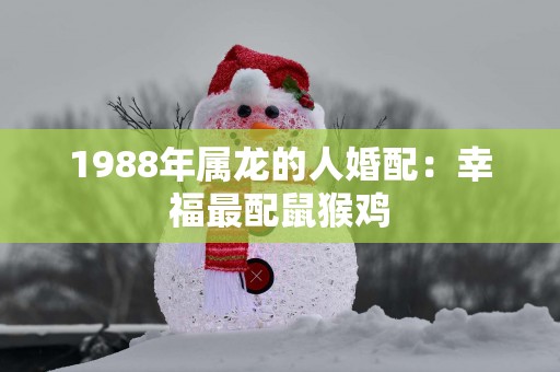 1988年属龙的人婚配：幸福最配鼠猴鸡