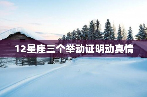 12星座三个举动证明动真情