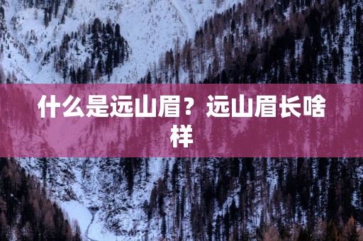 什么是远山眉？远山眉长啥样