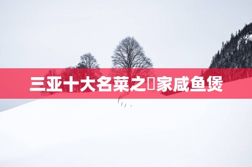 三亚十大名菜之疍家咸鱼煲