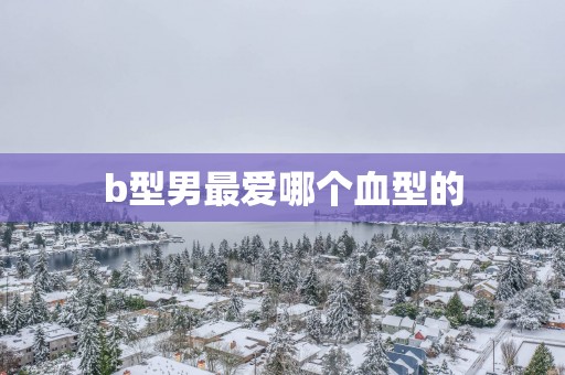 b型男最爱哪个血型的