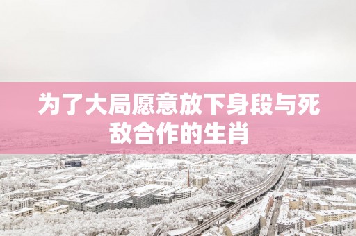 为了大局愿意放下身段与死敌合作的生肖