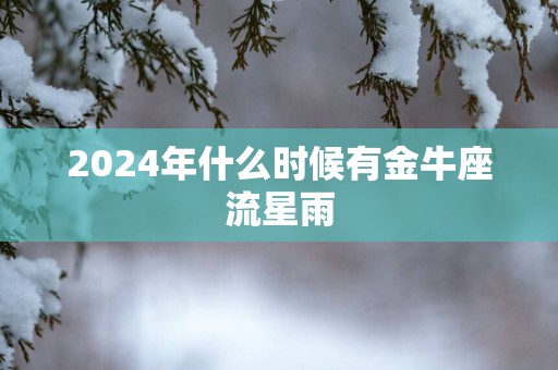 2024年什么时候有金牛座流星雨