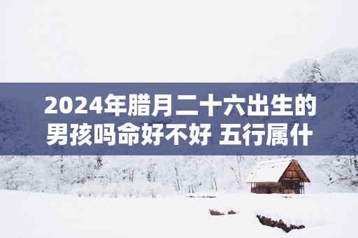 2025年腊月二十六出生的男孩吗命好不好 五行属什么
