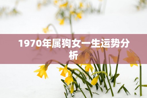 1970年属狗女一生运势分析