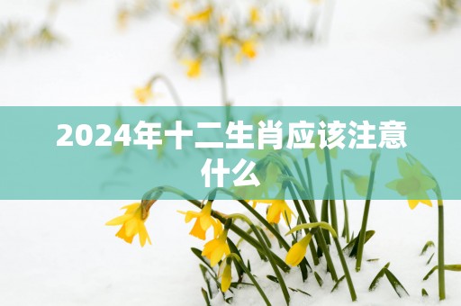 2025年十二生肖应该注意什么