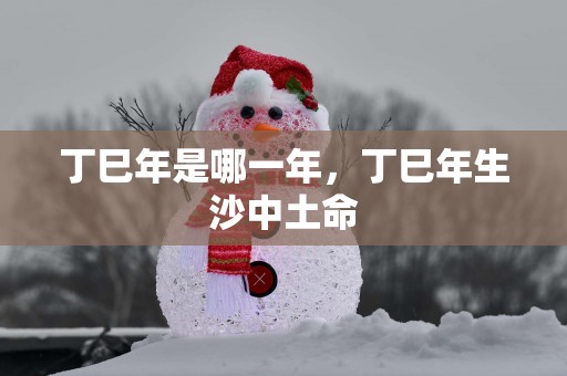丁巳年是哪一年，丁巳年生沙中土命
