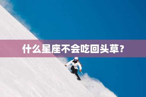 什么星座不会吃回头草？