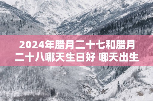 2025年腊月二十七和腊月二十八哪天生日好 哪天出生命更好