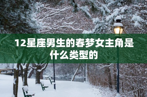 12星座男生的春梦女主角是什么类型的