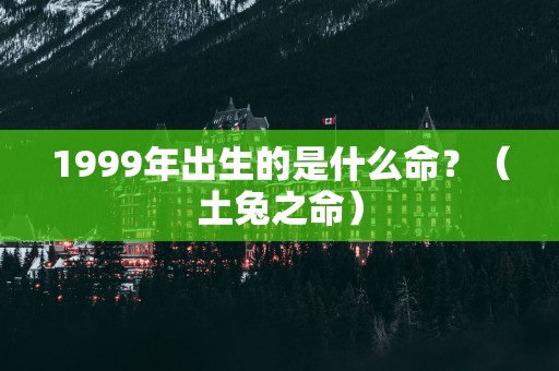 1999年出生的是什么命？（土兔之命）