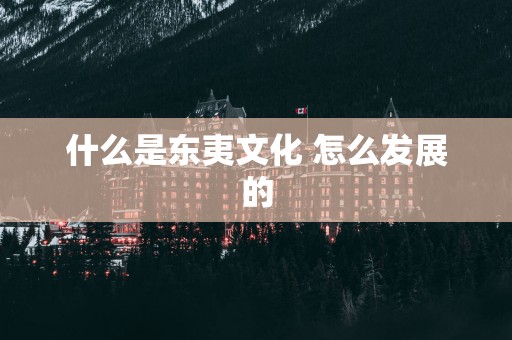 什么是东夷文化 怎么发展的