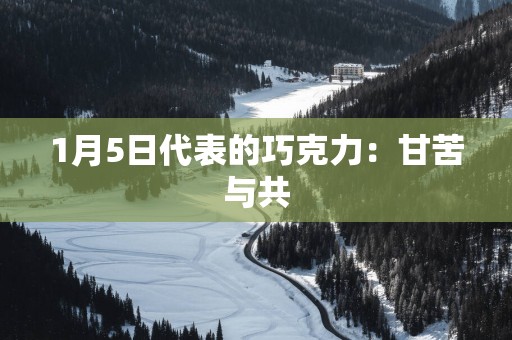 1月5日代表的巧克力：甘苦与共