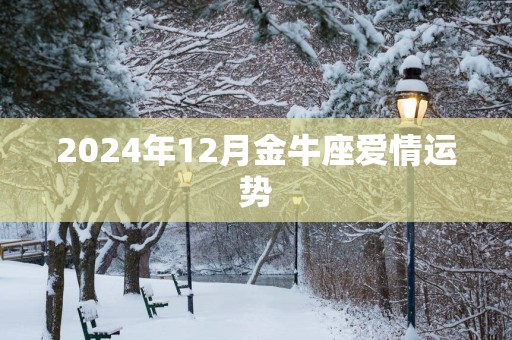 2025年12月金牛座爱情运势