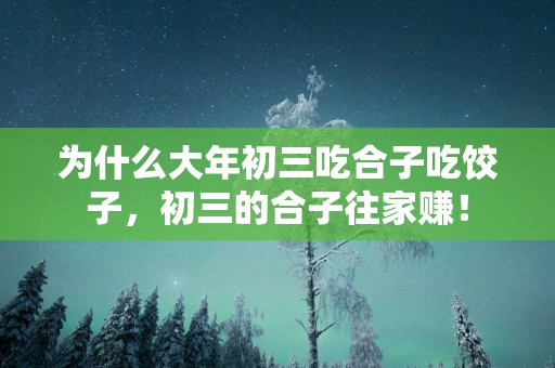 为什么大年初三吃合子吃饺子，初三的合子往家赚！
