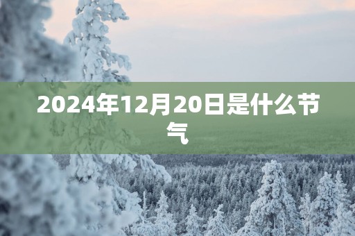 2025年12月20日是什么节气