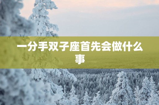 一分手双子座首先会做什么事