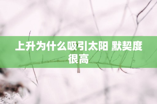 上升为什么吸引太阳 默契度很高