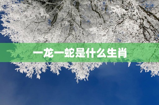 一龙一蛇是什么生肖