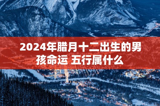 2025年腊月十二出生的男孩命运 五行属什么