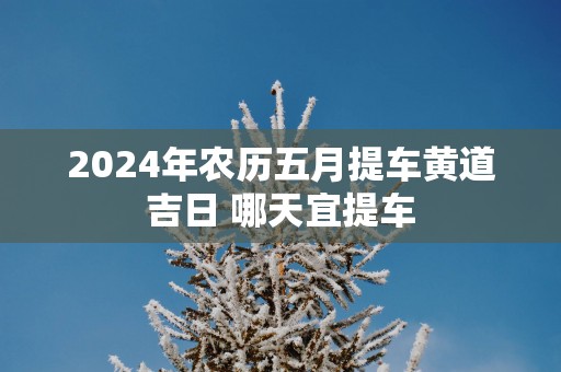 2025年农历五月提车黄道吉日 哪天宜提车