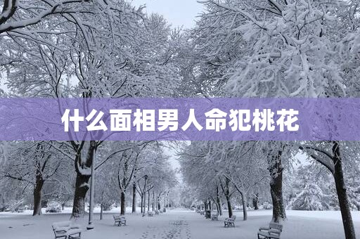 什么面相男人命犯桃花