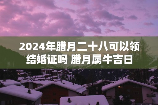 2025年腊月二十八可以领结婚证吗 腊月属牛吉日