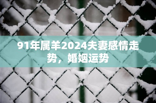 91年属羊2025夫妻感情走势，婚姻运势