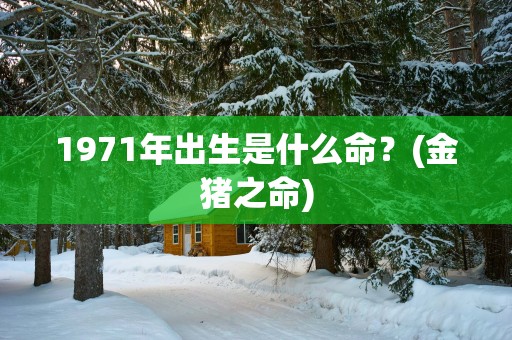 1971年出生是什么命？(金猪之命)