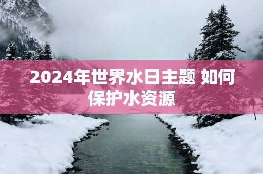 2025年世界水日主题 如何保护水资源