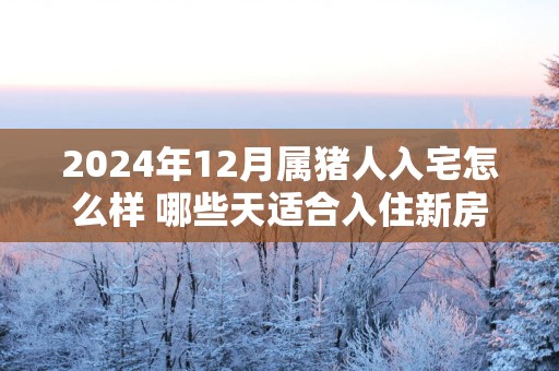 2025年12月属猪人入宅怎么样 哪些天适合入住新房