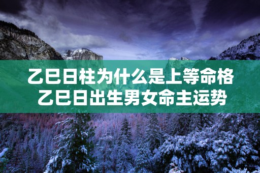 乙巳日柱为什么是上等命格 乙巳日出生男女命主运势