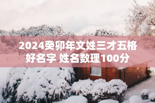 2025癸卯年文姓三才五格好名字 姓名数理100分