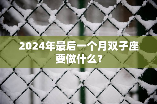 2025年最后一个月双子座要做什么？