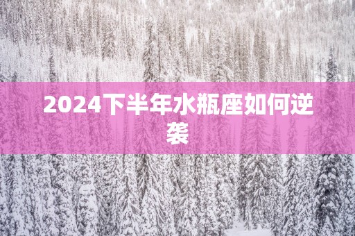 2025下半年水瓶座如何逆袭