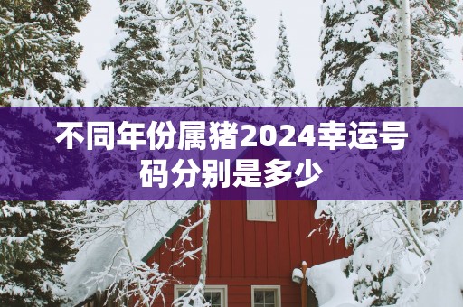 不同年份属猪2025幸运号码分别是多少