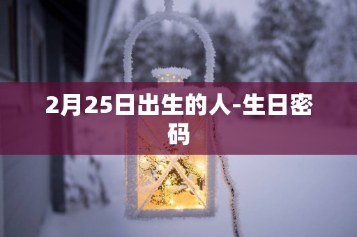 2月25日出生的人-生日密码