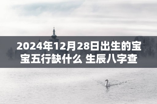 2024年12月28日出生的宝宝五行缺什么 生辰八字查询