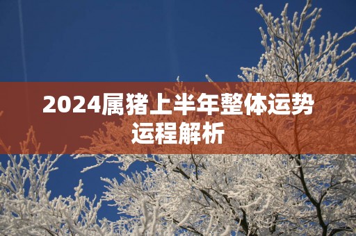 2025属猪上半年整体运势运程解析