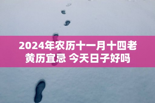 2025年农历十一月十四老黄历宜忌 今天日子好吗