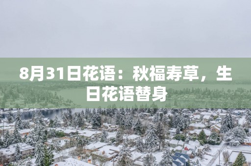 8月31日花语：秋福寿草，生日花语替身