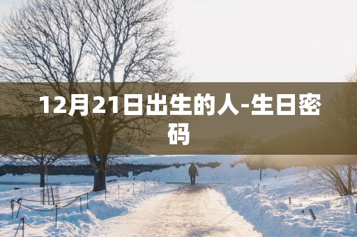 12月21日出生的人-生日密码