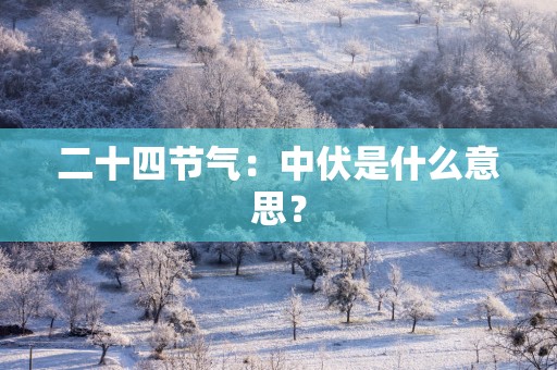 二十四节气：中伏是什么意思？