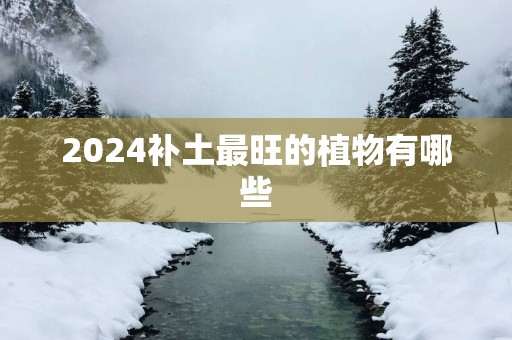 2025补土最旺的植物有哪些